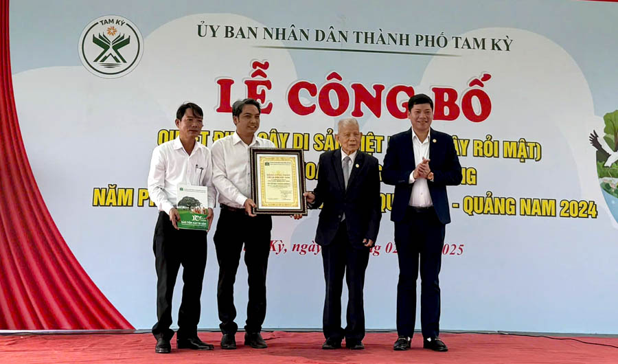 Cây[-]Rỏi[-]mật[-]đầu[-]tiên[-]ở[-]nước[-]ta[-]được[-]công[-]nhận[-]Cây[-]Di[-]sản[-]Việt[-]Nam